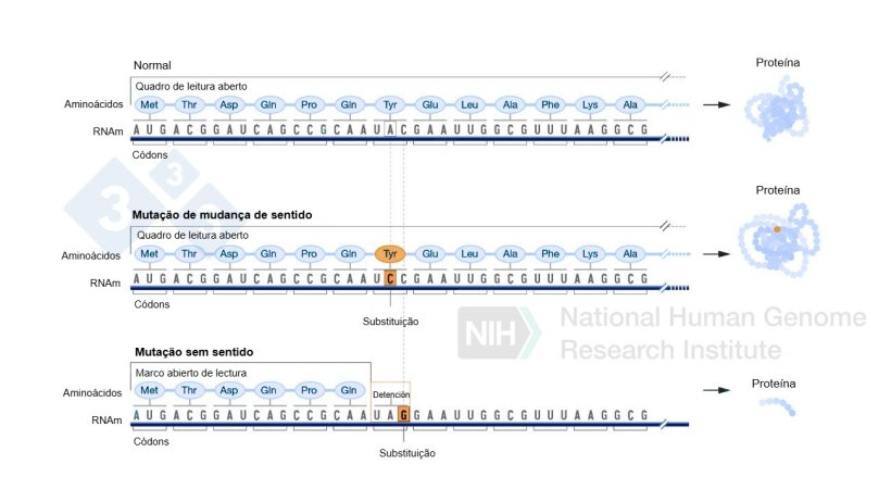 Figura 4. Uso de editores de base para gerar muta&ccedil;&otilde;es pontuais no genoma.

