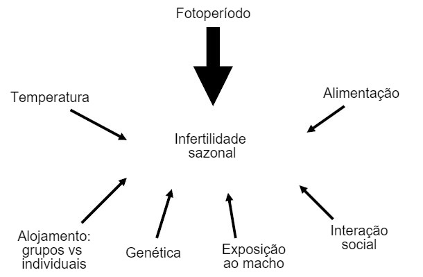 Figura 7. Fatores que influenciam o aparecimento de infertilidade sazonal.
