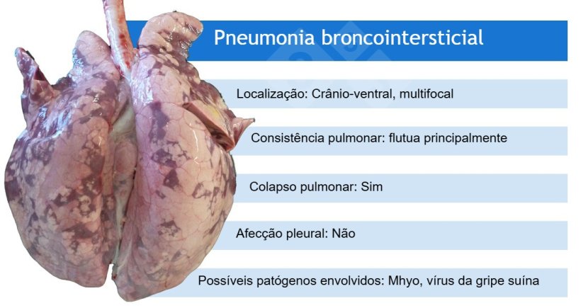 Mhyo: Mycoplasma hyopneumoniae
