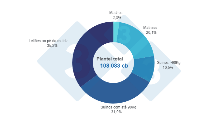 Gr&aacute;fico 1: Distribui&ccedil;&atilde;o do plantel&nbsp;su&iacute;no no Uruguai por categoria - junho de 2024, Elaborado pelo Departamento de Economia e Sustentabilidade da 333 Am&eacute;rica Latina com dados do Anu&aacute;rio OPYPA 2024
