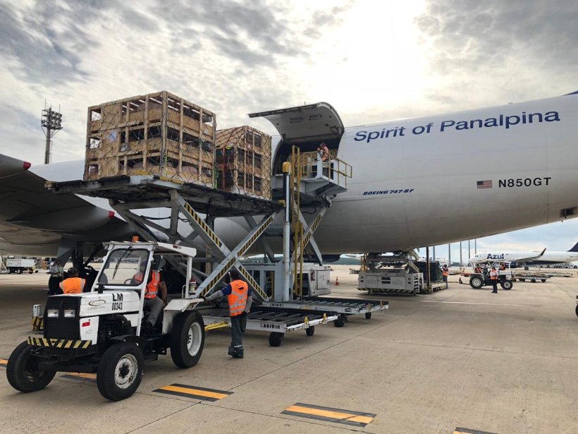 Animais DNA South America importados dos EUA.
