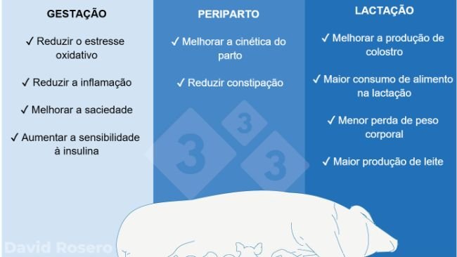 Figura 1. Efeitos da fibra como intervenção nutricional em dietas de matrizes suínas.