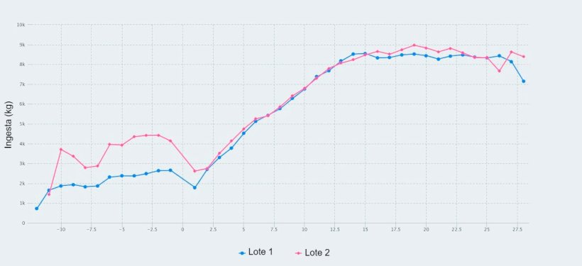 Figura 1. Consumo de ra&ccedil;&atilde;o do dia 107 da gesta&ccedil;&atilde;o at&eacute; o desmame (dia 28 da lacta&ccedil;&atilde;o) de porcas alimentadas com no m&aacute;ximo 2,8 kg/dia (lote 1) e 4,2 kg/dia (lote 2) de ra&ccedil;&atilde;o durante os dias anteriores ao parto.
