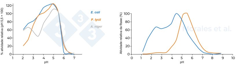 Figura 3. Atividade relativa de diferentes fitases. A figura &agrave; esquerda compara tr&ecirc;s fitases (A. niger, E. coli e P. lycii), tomando como refer&ecirc;ncia uma atividade de 100% em pH 5,5 (Kumar et al., 2003). A figura &agrave; direita compara duas fitases (fitase microbiana de E. coli e fitase f&uacute;ngica de P. lycii); a atividade m&aacute;xima de fitase registrada foi considerada como 100% (Morales et al., 2011).
