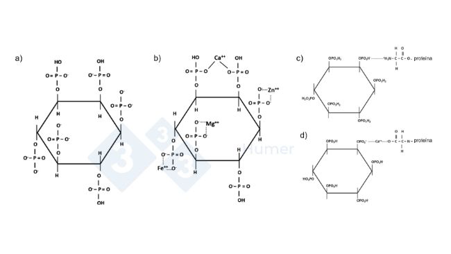 Figura 1. Estrutura do &aacute;cido f&iacute;tico em pH neutro (a); estrutura do &aacute;cido f&iacute;tico quelado com c&aacute;tions em pH neutro (b); estrutura do &aacute;cido f&iacute;tico quelado com prote&iacute;nas em pH &aacute;cido (c) e em pH neutro (d). Adaptado de Humer et al. (2014).
