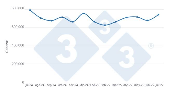 Gráfico 1: Evolução do abate de suínos nos últimos 12 meses. Elaborado pelo Departamento de Economia e Sustentabilidade da 333 Latinoamérica com dados da Secretaria de Agricultura, Pecuária e Pesca do Ministério da Economia da Argentina.