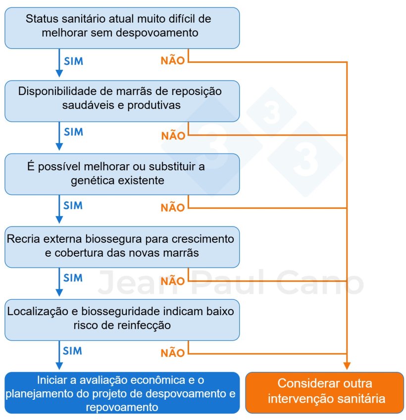 Figura 1. &Aacute;rvore de decis&atilde;o para avaliar a viabilidade de realizar um&nbsp;despovoamento&nbsp;e repovoamento. O despovoamento&nbsp;e repovoamento s&atilde;o de interesse para a minha granja?
