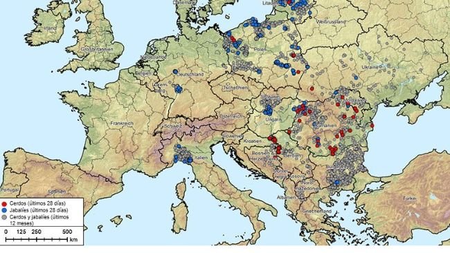 Figura 1. Surtos de peste suína africana (genótipo II) na Albânia, Países Bálticos, Bósnia-Herzegovina, Bulgária, Alemanha, Grécia, Itália, Kosovo, Croácia, Moldávia, Montenegro, Macedônia do Norte, Polônia, Romênia, Suécia, Sérvia, Eslováquia, República Tcheca, Ucrânia e Hungria (20/08/2024 a 20/08/2025). Fonte dos dados: ADIS, TSN (em 20/08/2025 – 08h40).