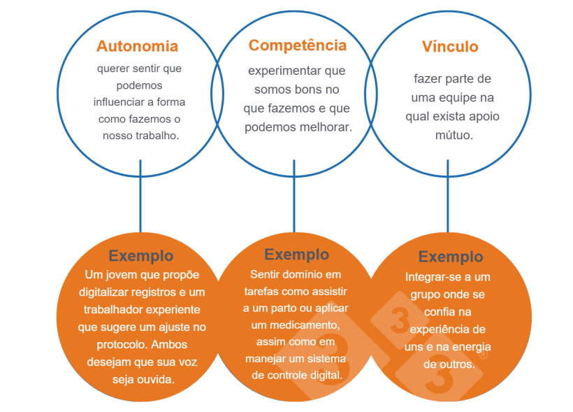 Imagem 1. Necessidades universais que compartilhamos (Deci &amp; Ryan, 2000).
