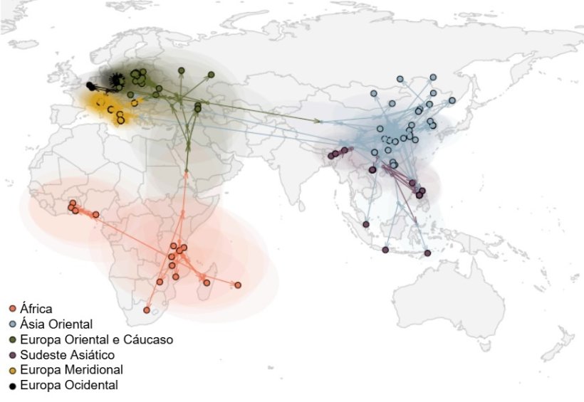 Figura 2. Propaga&ccedil;&atilde;o global do v&iacute;rus da PSA (Rossi et al., bioRxiv 2025).

