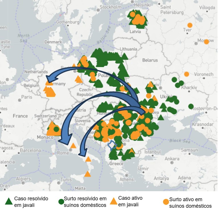 Figura 1. Rota prov&aacute;vel do v&iacute;rus da PSA em dire&ccedil;&atilde;o aos agrupamentos no L&aacute;cio, Camp&acirc;nia e Ren&acirc;nia do Norte-Vestf&aacute;lia.
