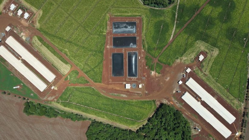 Na suinocultura, cerca de 46% das propriedades integradas de su&iacute;nos com potencial para a tecnologia j&aacute; contam com biodigestores. Fonte: Divulga&ccedil;&atilde;o JBS