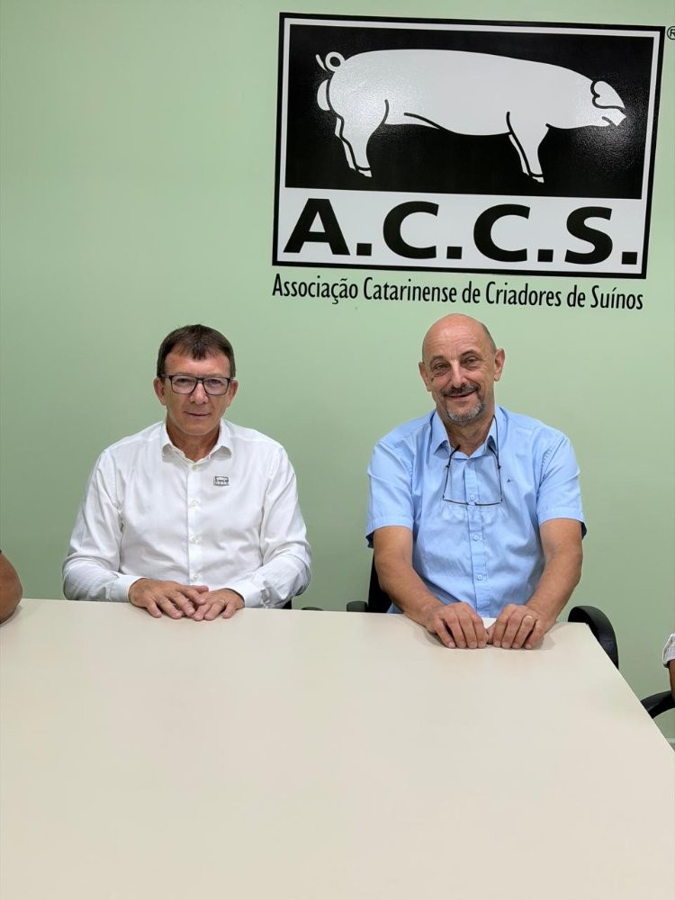 Fonte: Divulga&ccedil;&atilde;o ACCS.
