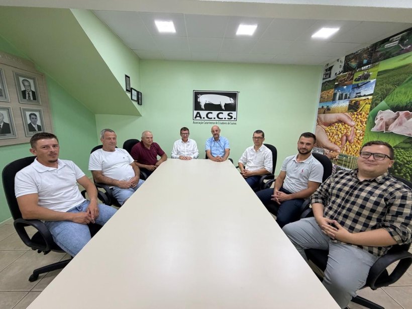 Fonte: Divulga&ccedil;&atilde;o ACCS.
