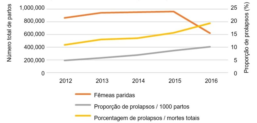 Fig. 1. N&uacute;mero total de partos na an&aacute;lise e evolu&ccedil;&atilde;o ao longo do tempo da propor&ccedil;&atilde;o de prolapsos de f&ecirc;meas su&iacute;nas por 1.000 f&ecirc;meas paridas ou em rela&ccedil;&atilde;o ao n&uacute;mero total de mortes de f&ecirc;meas nas granjas.
