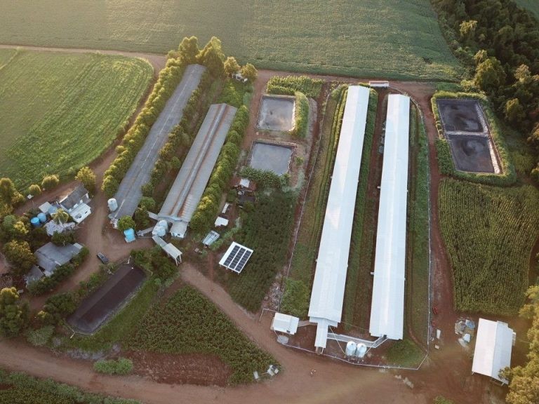 Vista a&eacute;rea de uma propriedade contemplada integralmente pelos projetos de apoio &agrave; suinocultura.