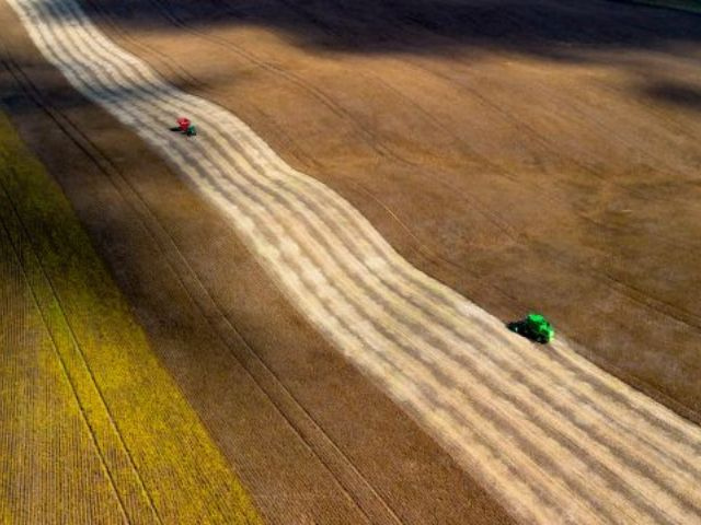 Foto: Tiago Ghizoni/Epagri