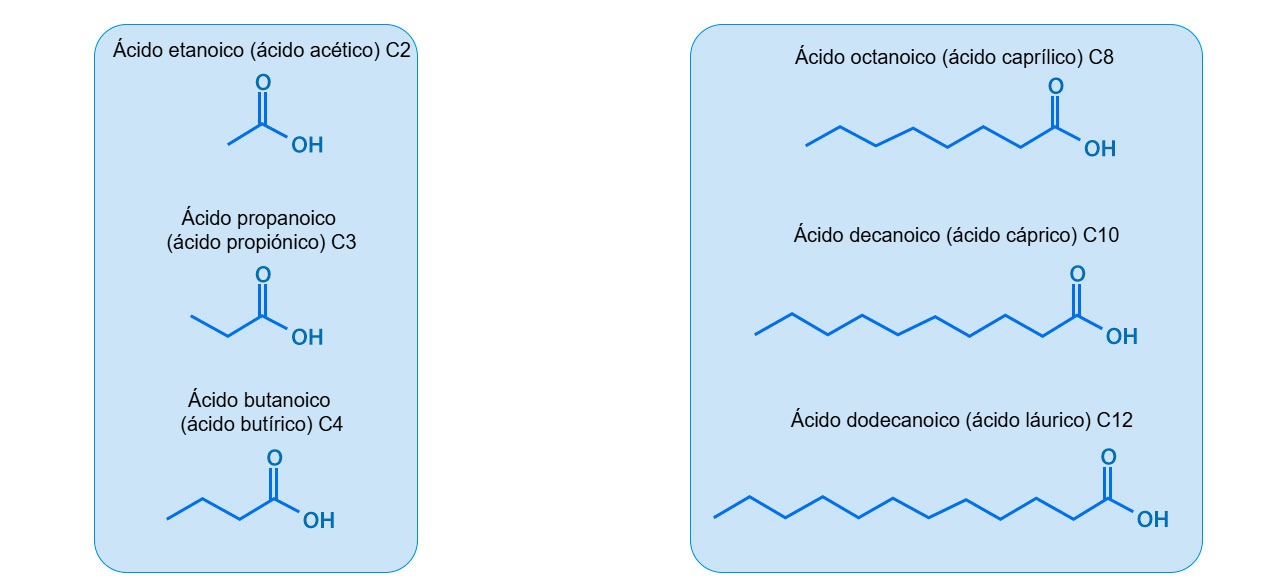 Imagen 1. Estructura de los AGCC y AGCM más utilizados en nutrición porcina.