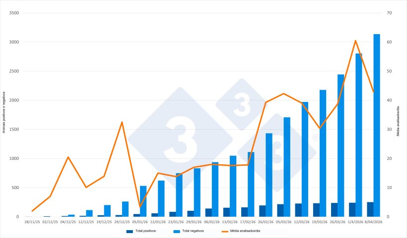 Evolu&ccedil;&atilde;o do surto de PSA na Catalunha, dados acumulados, exceto para a m&eacute;dia de animais analisados por dia. Fonte: 333 com base nas atualiza&ccedil;&otilde;es emitidas pelo MAPA.
