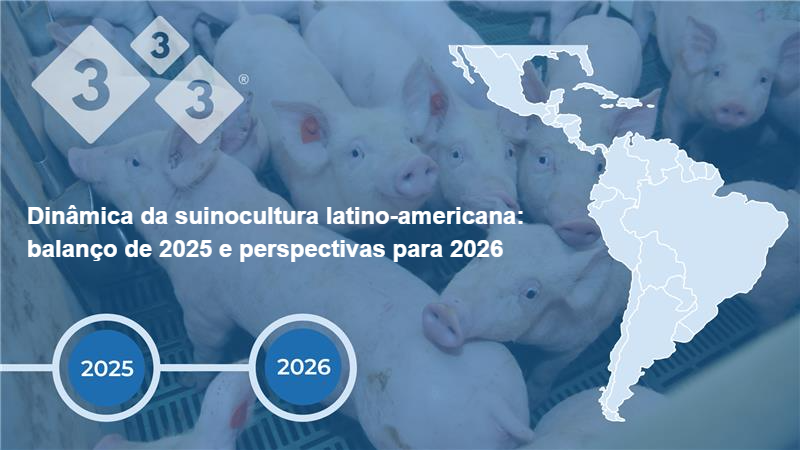 Produção suína latino-americana: balanço 2025 e perspectivas 2026