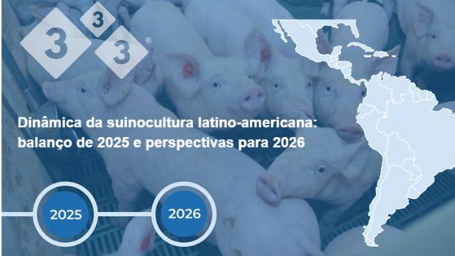 Din&acirc;mica da suinocultura latino-americana: balan&ccedil;o de 2025 e perspectivas para 2026
