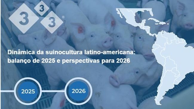 Dinâmica da suinocultura latino-americana: balanço de 2025 e perspectivas para 2026