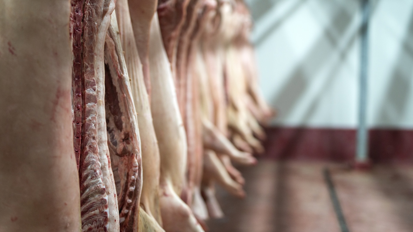 China adota medidas para estabilizar o mercado de suínos
