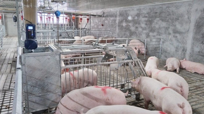 Sistema de alimenta&ccedil;&atilde;o Gestal Select.
