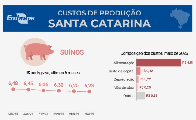 Custos de produção de suínos e frangos de corte têm nova queda em maio