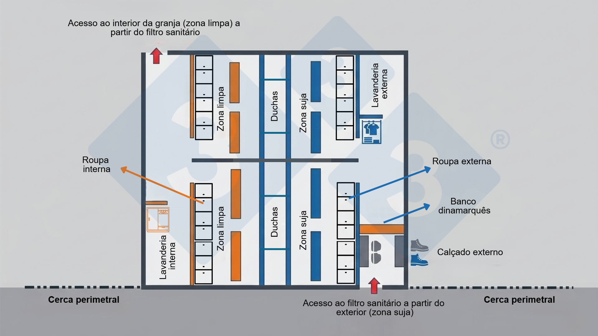 Figura 2