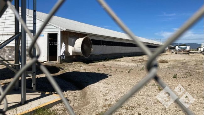 Imagem 1. Perspectiva a partir da cerca perimetral em dire&ccedil;&atilde;o aos galp&otilde;es, evidenciando como a infraestrutura limita os acessos n&atilde;o autorizados &agrave; zona limpa.
