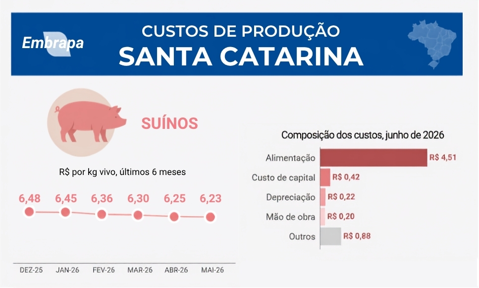 Custo de produção do suíno recua em Santa Catarina em junho