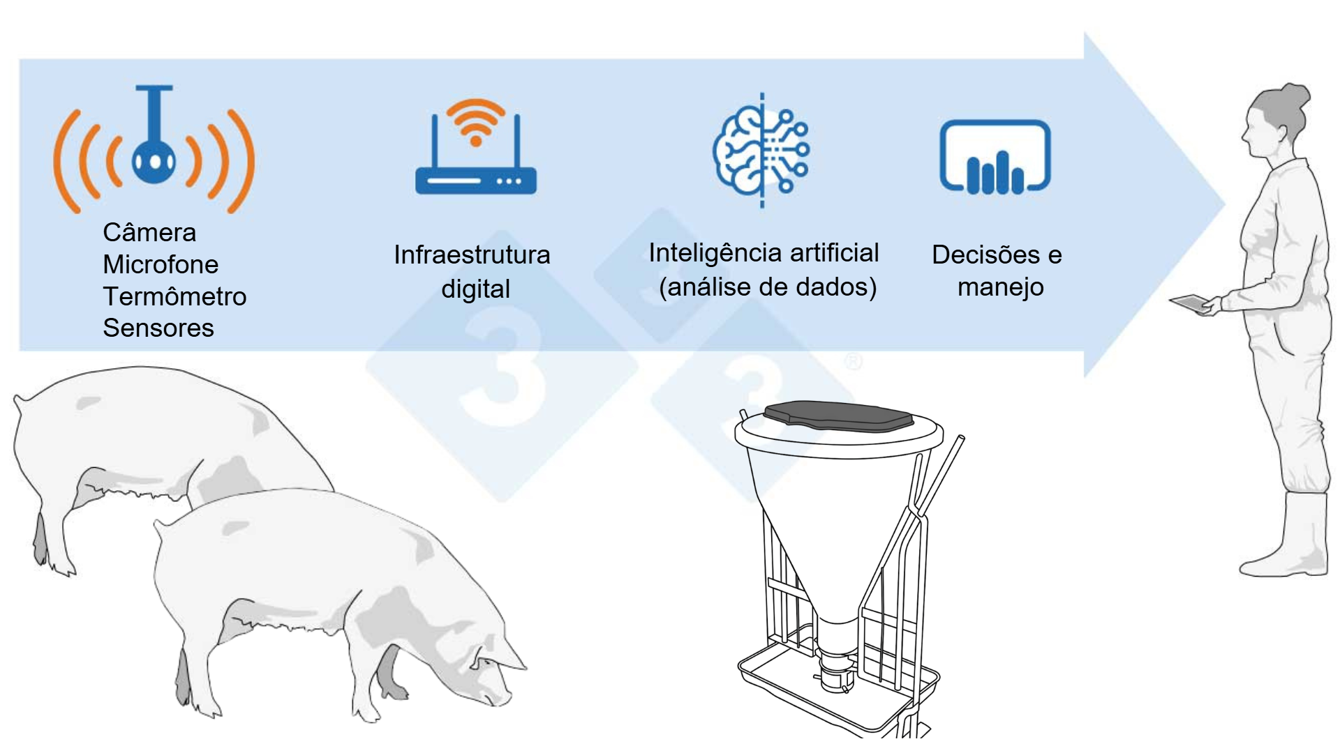 Granjas de suínos: o impacto do design inteligente e dos dados