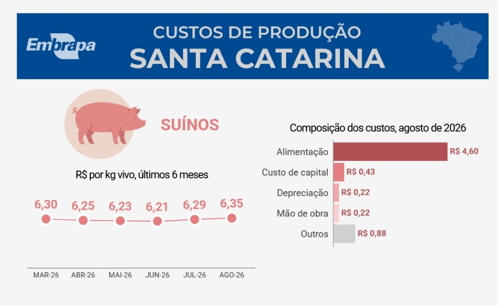 Custos de produção de suínos sobem em agosto