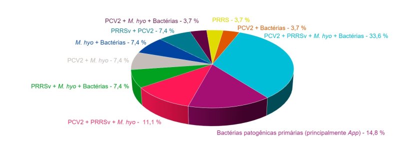 Figura 1: Combina&ccedil;&otilde;es de pat&oacute;genos encontradas em casos de campo, diagnosticados com PCR, nos &uacute;ltimos 4 anos no Servi&ccedil;o de Anatomia Patol&oacute;gica da Faculdade de Veterin&aacute;ria da Universidade de Murcia.
