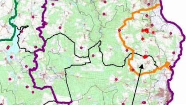O mapa a seguir mostra os limites das zonas núcleo (amarelo), infectada (roxo) e tampão (verde), bem como a localização dos casos em javalis encontrados (asterisco) e das granjas de suínos (pontos vermelhos). Fonte: MAPA.