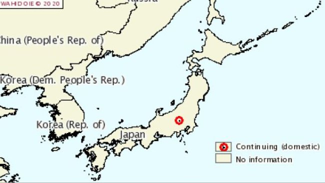 Surto atual de PSC em suínos domésticos no Japão. Fonte: OIE.