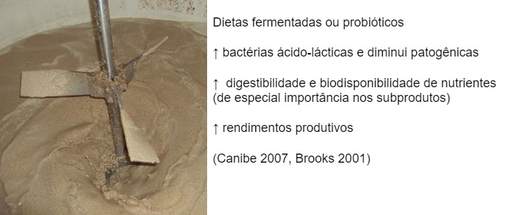 Figura 3: Tamb&eacute;m pode ser interessante fomentar a fermenta&ccedil;&atilde;o atrav&eacute;s da utiliza&ccedil;&atilde;o de dietas pr&eacute;-fermentadas ou probi&oacute;ticos. S&atilde;o-lhes atribu&iacute;dos muitos benef&iacute;cios como o aumento da microbiota favor&aacute;vel (melhoria da propor&ccedil;&atilde;o&nbsp;lactobacilus:enterobact&eacute;rias), melhorias digestivas e finalmente melhorias no rendimento produtivo do animal.
