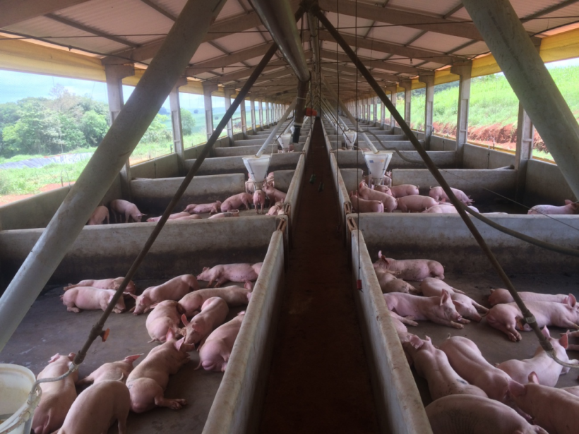 Barrac&atilde;o pr&eacute;-moldado com p&eacute; direito de 3,5 metros