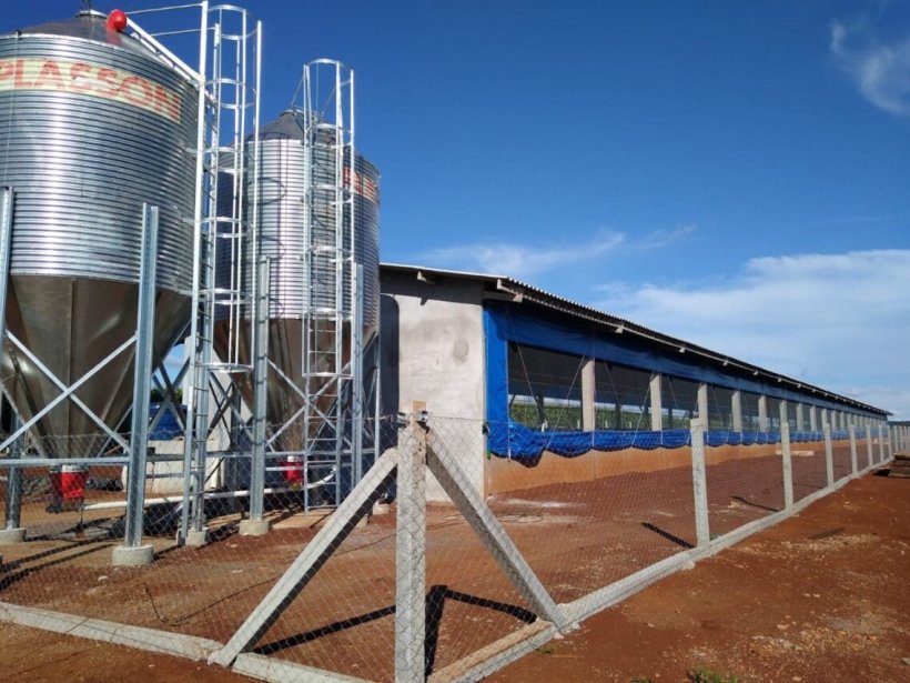 Granja totalmente cercada com acesso liberado a colaboradores.
