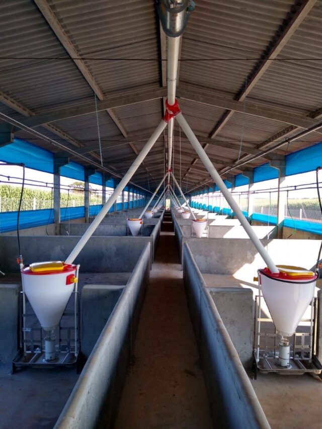 Linha de comedouros autom&aacute;ticos com ra&ccedil;&atilde;o o tempo todo aos animais
