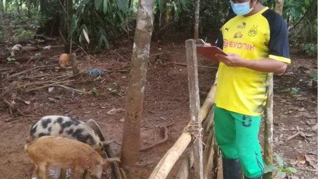 PSC na Colômbia