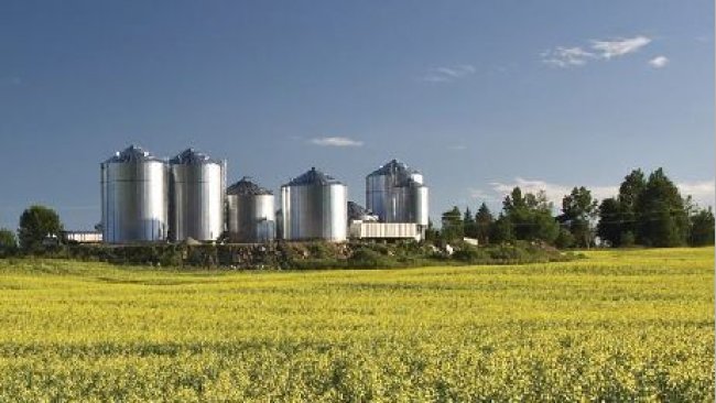 Imagem 1. Fábrica de ração nos EUA. Fonte: ANACAN.