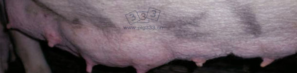 1 2