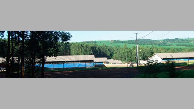 Pig farm