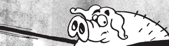 Re-launching pig products 