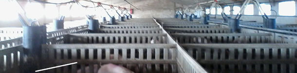 Farm