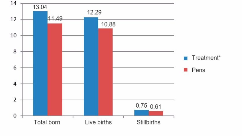 Figure 8. Results of primiparous compared between December 2015 and June 2016 (*sows in crates from weaning until day 28 of gestation).
