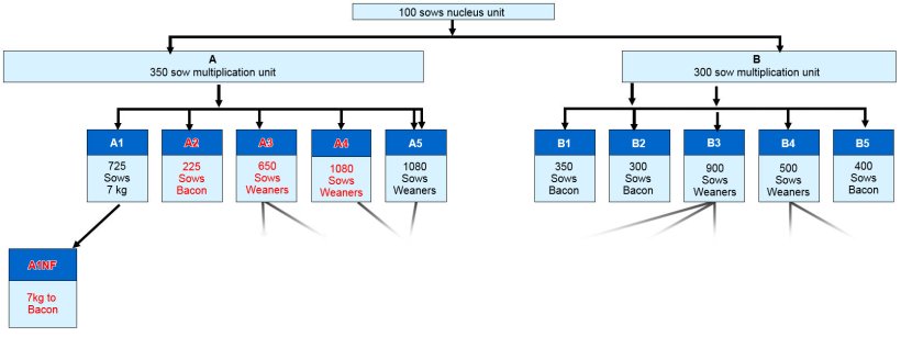 Fig 1. Company structure – herds highlighted in red have all experienced clinical bowel oedema during 2015/6.
