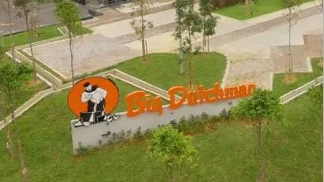 bigdutchman 1